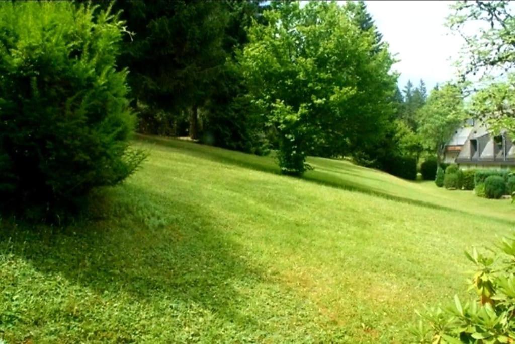 Urlaub Auf 1.000 Meter Hoehe Mit Pool Und Sauna Schönwalde Zewnętrze zdjęcie