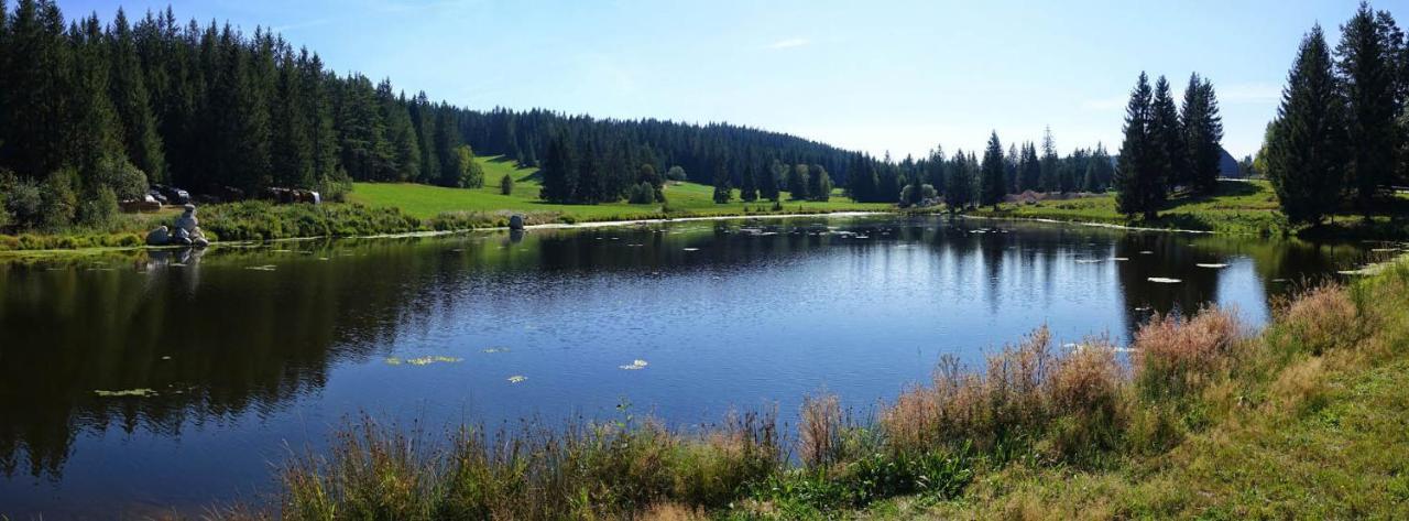 Urlaub Auf 1.000 Meter Hoehe Mit Pool Und Sauna Schönwalde Zewnętrze zdjęcie