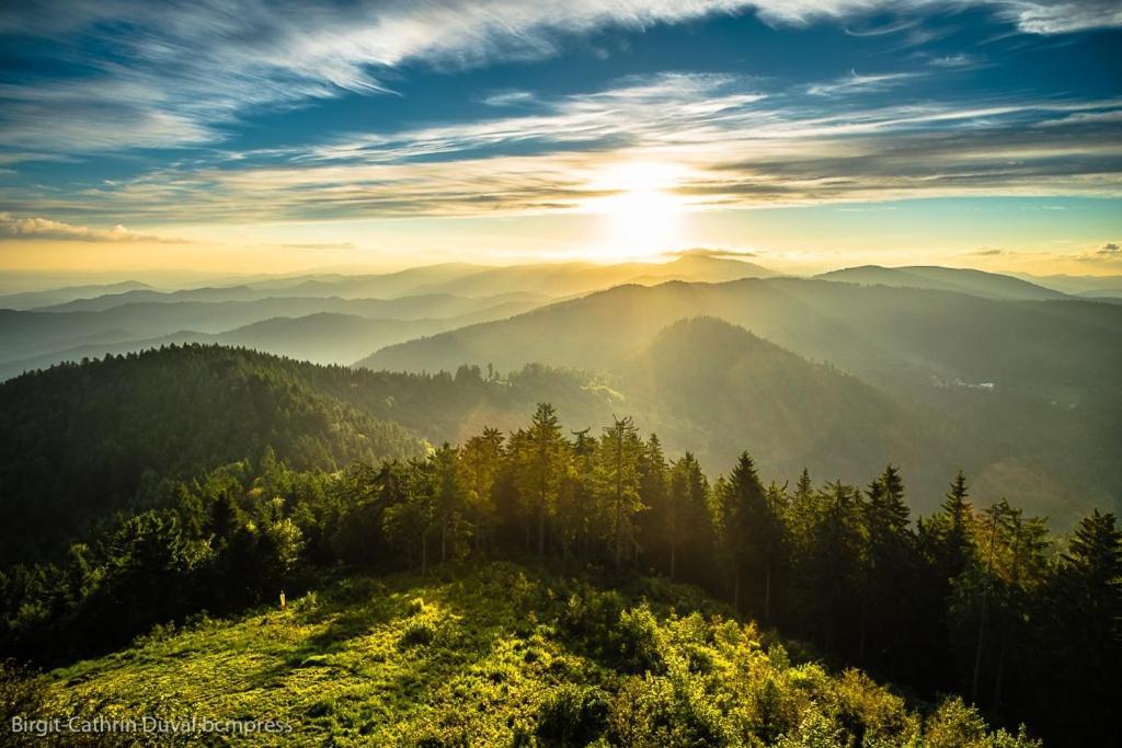 Urlaub Auf 1.000 Meter Hoehe Mit Pool Und Sauna Schönwalde Zewnętrze zdjęcie